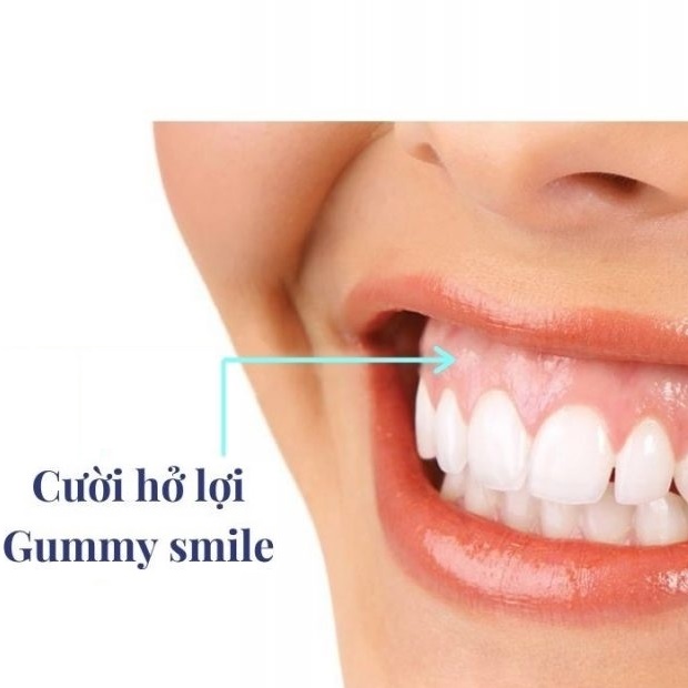 Công ty TNHH Thương mại Diên Niên