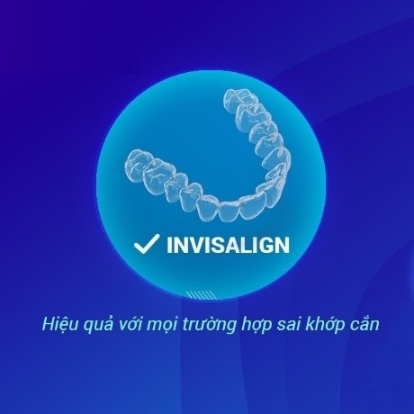 Công ty TNHH Thương mại Diên Niên